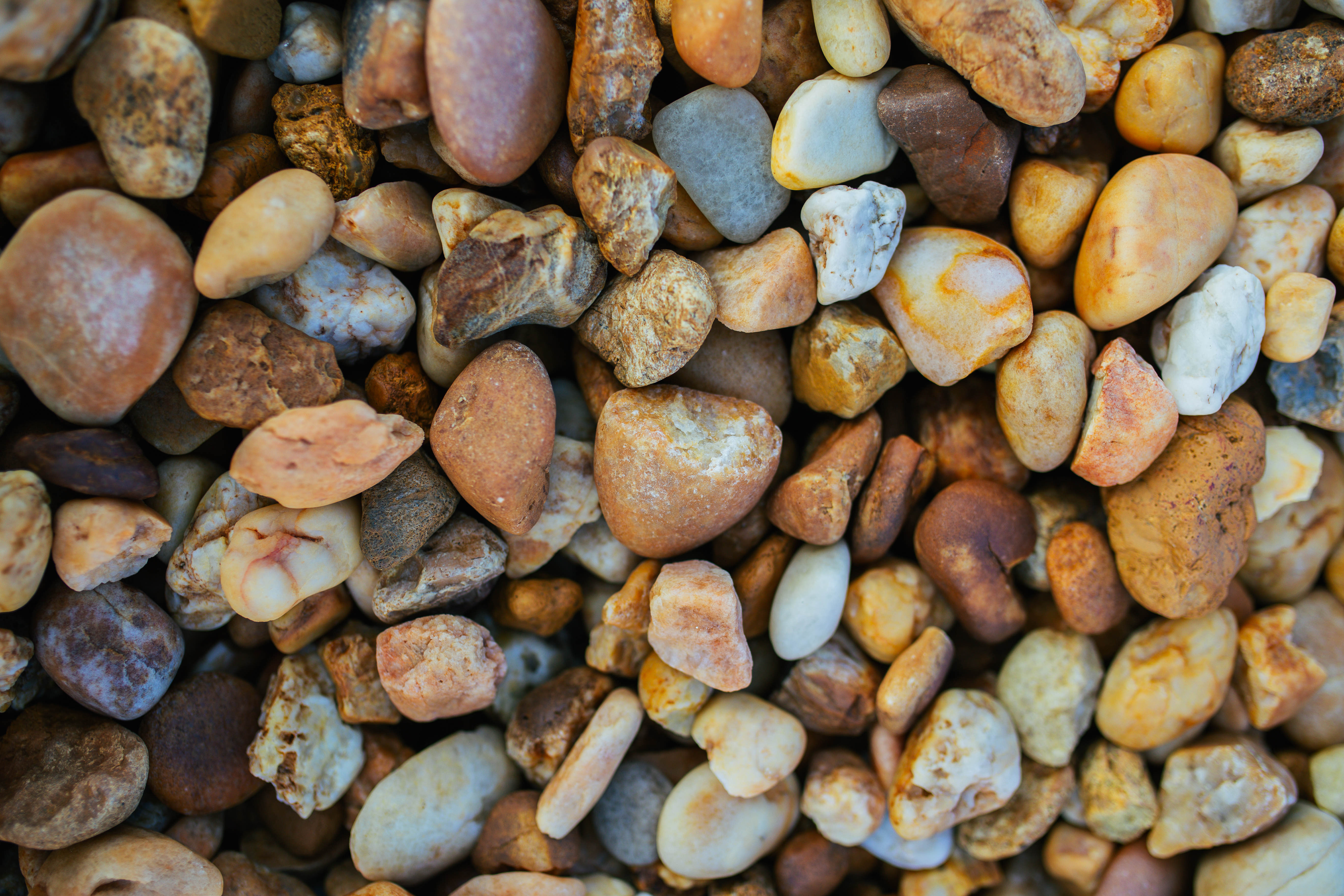 River Rock - Image 1